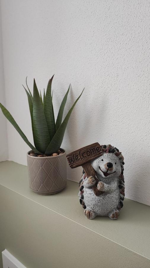 Ferienhaus Polly Taucha エクステリア 写真